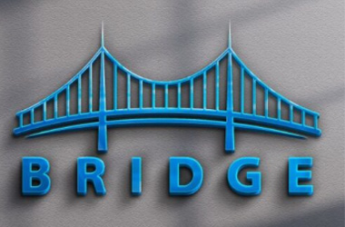 BRIDGE MULTI TRADING LIMITED